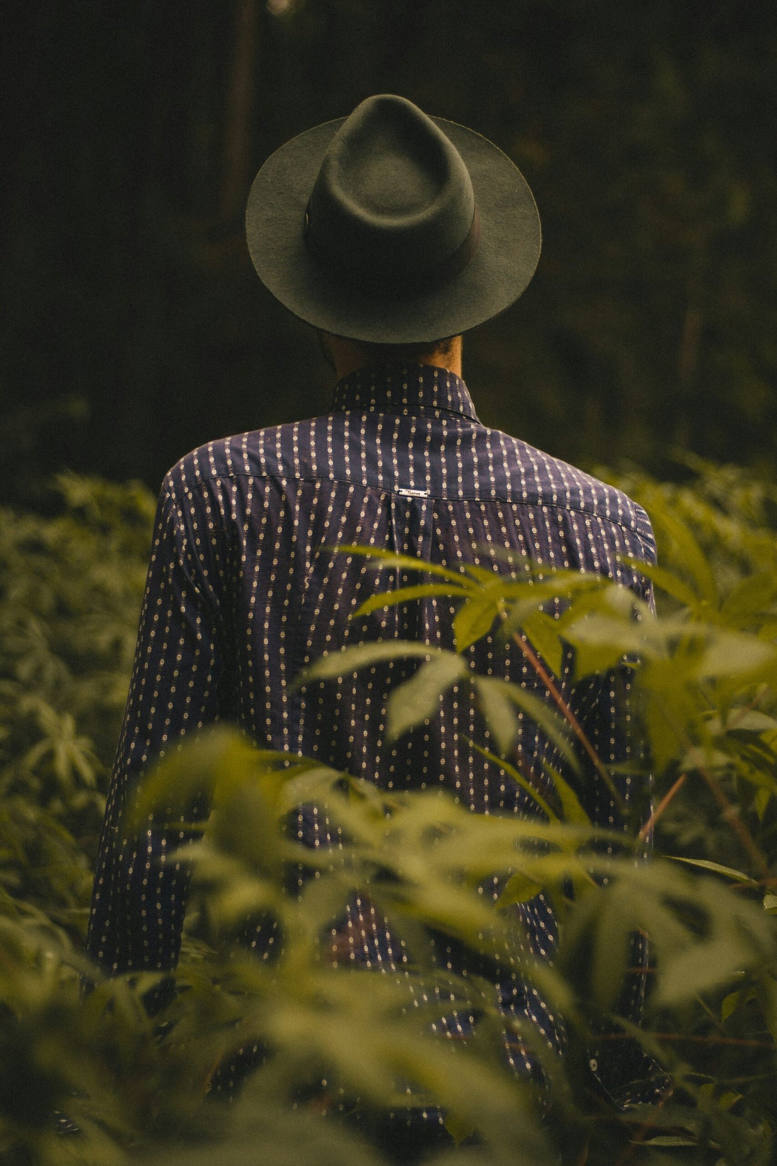 man standing near green leafed plants during daytime